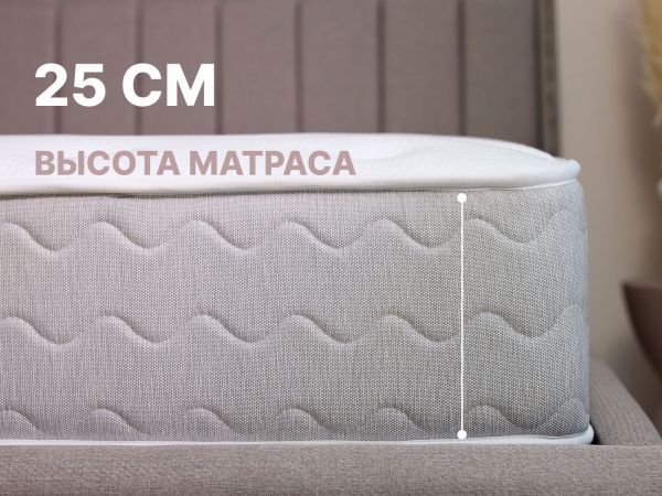 Матрас Dimax Bliss Modern max (Блисс&nbsp;Модерн&nbsp;макс)